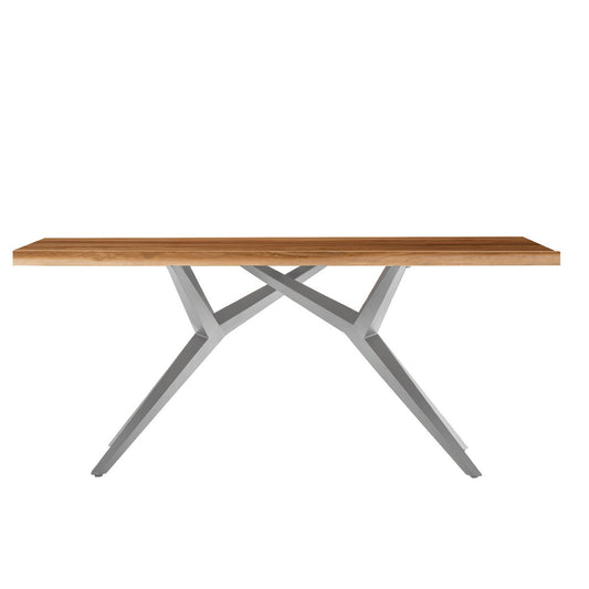 Tisch 200x100 cm