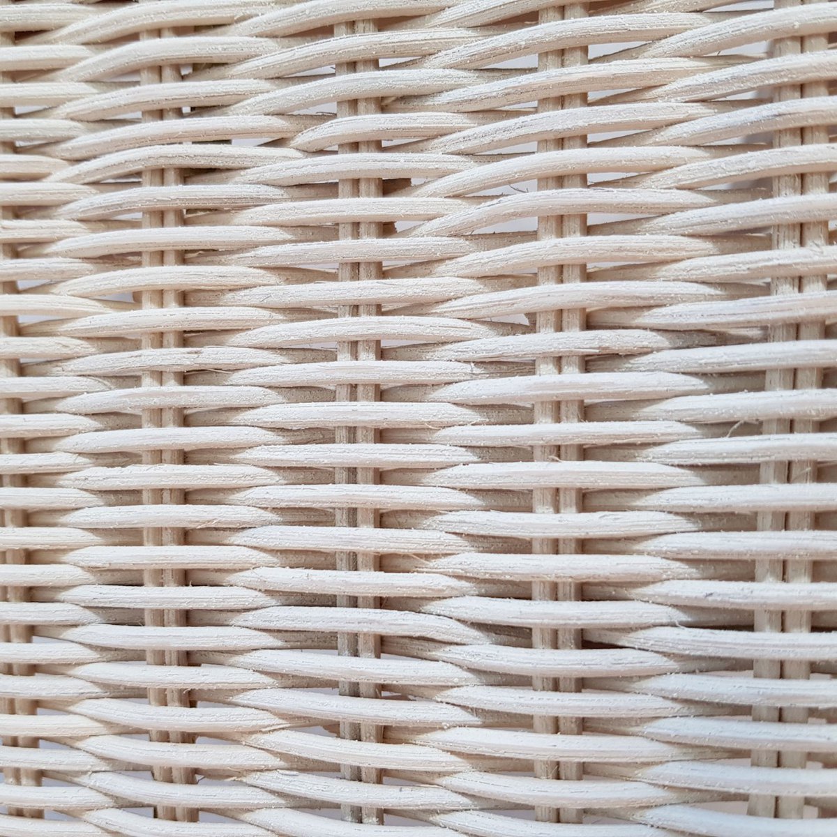 Esszimmer Stühle 6 Stück Rattanstühle Esstisch Stühle Wintergarten Cardine weiß